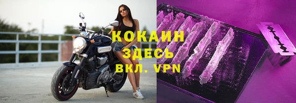 гашик Кулебаки