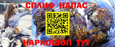 шишки Балахна