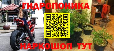 шишки Балахна