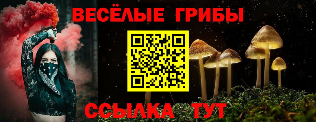 Галлюциногенные грибы прущие грибы Барнаул