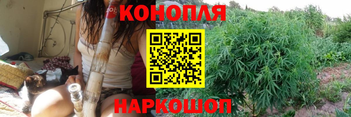 Бошки Шишки сатива  Конопля тримм  Каннабис LSD WEED  Конопля сатива  Барнаул  Вход с VPN 